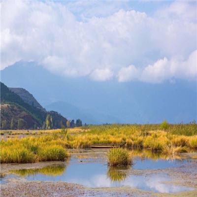 高捷恋旅2破解版下载